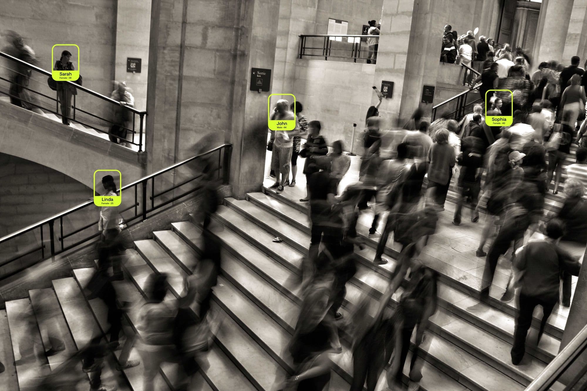 Crowd detection visualization